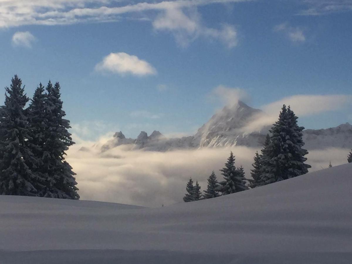 Le Caprice Des Neiges Hotel Crest-Voland Quarto foto